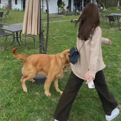与妖为邻